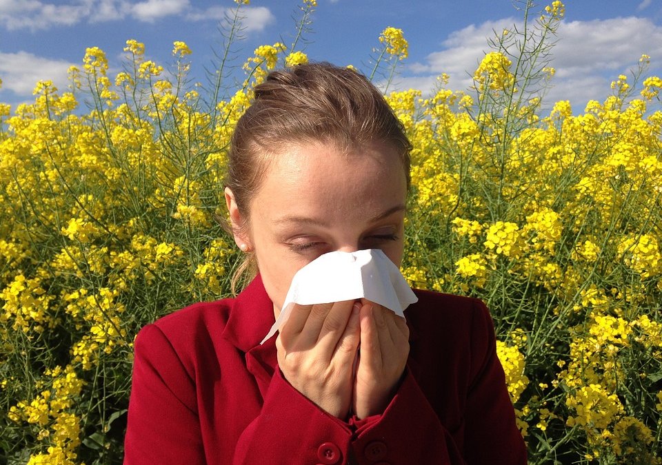 Consejos para la alergia de invierno